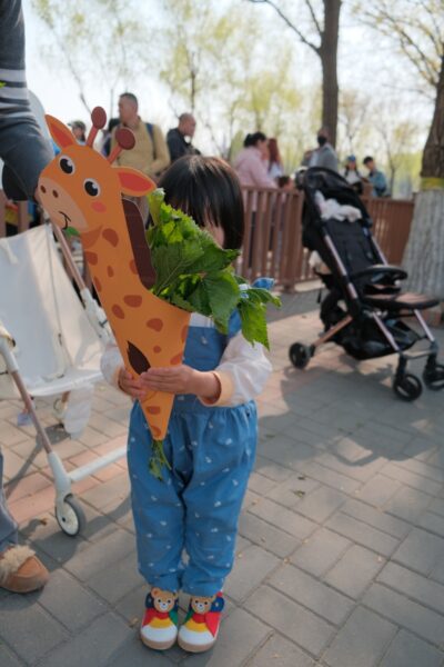 A child hides behind a giraffe toy.