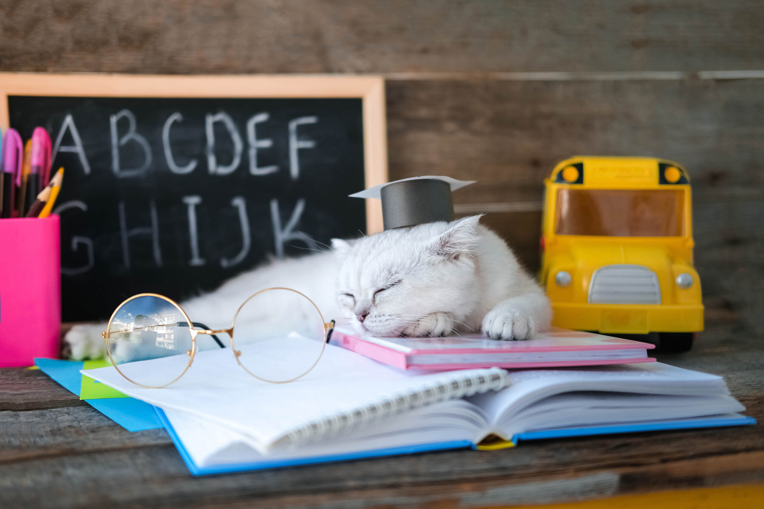 When Children Can’t Follow the Story: Why It’s Not Just About Reading—It’s About Understanding When Children Can’t Follow the Story: Why It’s Not Just About Reading—It’s About Understanding
